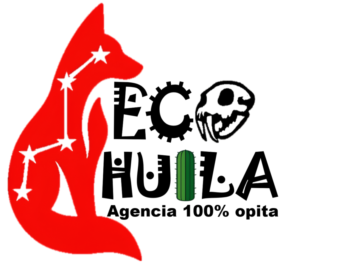 ¡Descubre la belleza única del Desierto de la Tatacoa!